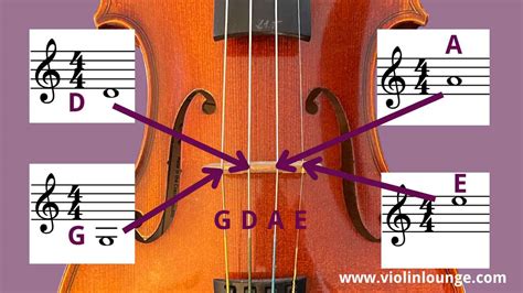 How to Read Sheet Music Violin: A Symphony of Symbols and Strings