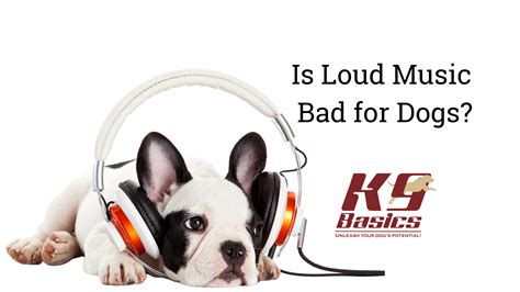 Is Listening to Music Bad for You? A Detailed Analysis